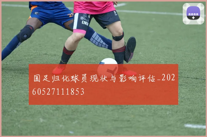 国足归化球员现状与影响评估_20260527111853